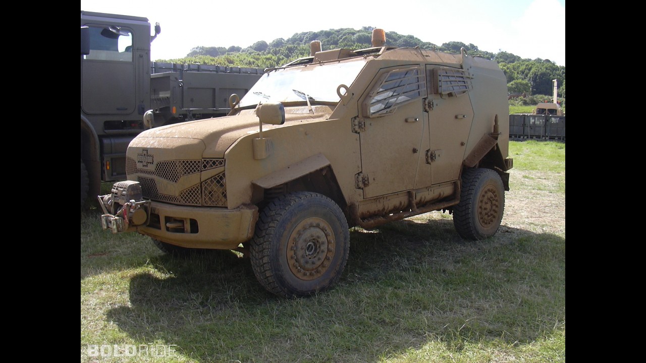 oshkosh-sand-cat.jpg